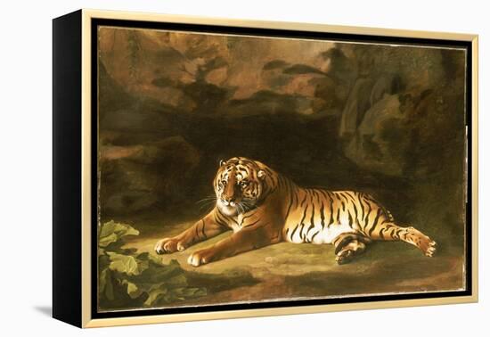 Portrait of the Royal Tiger, C.1770-George Stubbs-Framed Premier Image Canvas