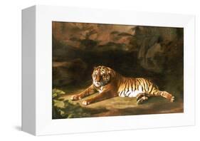 Portrait of the Royal Tiger, circa 1770-George Stubbs-Framed Premier Image Canvas