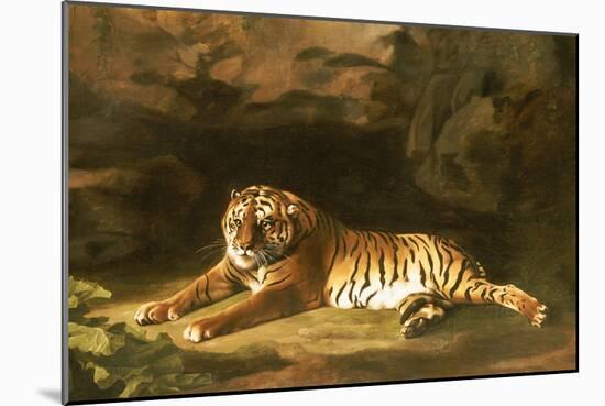 Portrait of the Royal Tiger, circa 1770-George Stubbs-Mounted Giclee Print