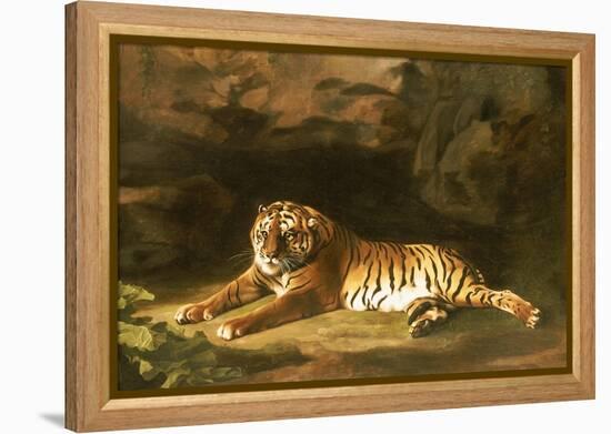 Portrait of the Royal Tiger, circa 1770-George Stubbs-Framed Premier Image Canvas