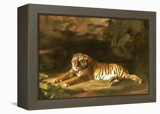 Portrait of the Royal Tiger, circa 1770-George Stubbs-Framed Premier Image Canvas