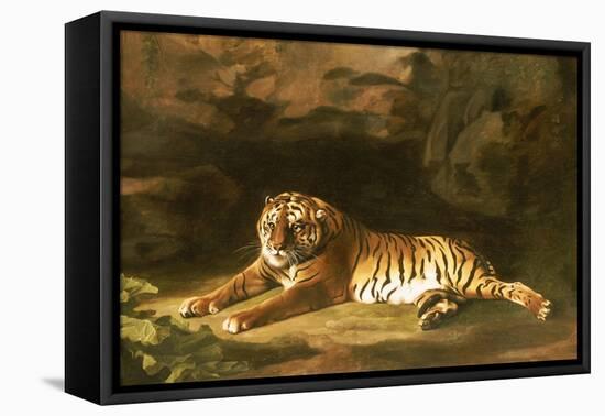 Portrait of the Royal Tiger, circa 1770-George Stubbs-Framed Premier Image Canvas