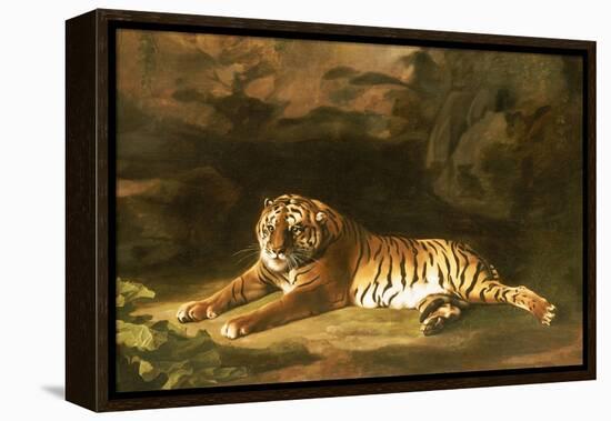 Portrait of the Royal Tiger, circa 1770-George Stubbs-Framed Premier Image Canvas