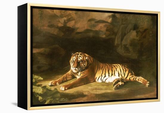 Portrait of the Royal Tiger, circa 1770-George Stubbs-Framed Premier Image Canvas