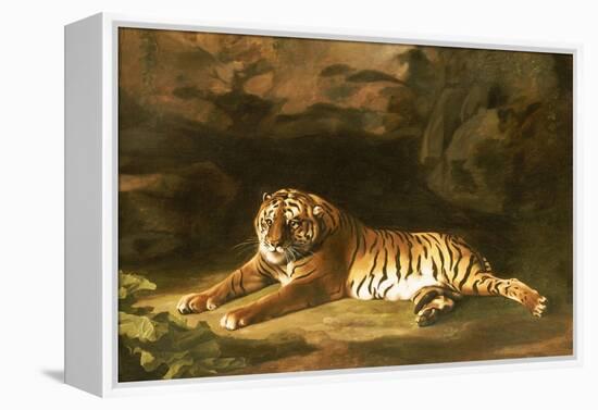 Portrait of the Royal Tiger, circa 1770-George Stubbs-Framed Premier Image Canvas