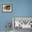 Portrait of Three Boys in Full Baseball Uniforms-null-Framed Photographic Print displayed on a wall