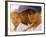 Portrait of Three Boys in Full Baseball Uniforms-null-Framed Photographic Print