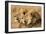 Portrait Of Two Adult Male African Lion Brothers. Linyanti, Botswana 2007-Karine Aigner-Framed Photographic Print