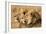 Portrait Of Two Adult Male African Lion Brothers. Linyanti, Botswana 2007-Karine Aigner-Framed Photographic Print