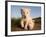 Portrait of Two White Lion Cub Siblings, One Laying Down and One with it's Paw Raised.-Karine Aigner-Framed Photographic Print