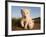 Portrait of Two White Lion Cub Siblings, One Laying Down and One with it's Paw Raised.-Karine Aigner-Framed Photographic Print