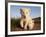 Portrait of Two White Lion Cub Siblings, One Laying Down and One with it's Paw Raised.-Karine Aigner-Framed Photographic Print