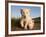 Portrait of Two White Lion Cub Siblings, One Laying Down and One with it's Paw Raised.-Karine Aigner-Framed Photographic Print