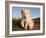 Portrait of Two White Lion Cub Siblings, One Laying Down and One with it's Paw Raised.-Karine Aigner-Framed Photographic Print