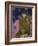 Portrait of Vaiite (Jeann) Goupil, 1896-Paul Gauguin-Framed Giclee Print