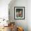 Portrait of Vava-Marc Chagall-Framed Premium Giclee Print displayed on a wall