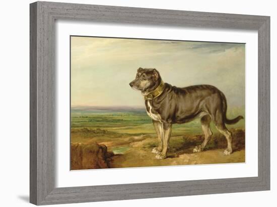 Portrait of 'Vic', a Spanish Bloodhound, C.1818-20-James Ward-Framed Giclee Print