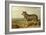 Portrait of 'Vic', a Spanish Bloodhound, C.1818-20-James Ward-Framed Giclee Print