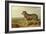 Portrait of 'Vic', a Spanish Bloodhound, C.1818-20-James Ward-Framed Giclee Print