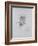 Portrait of Victor Hugo (1802-85)-Auguste Rodin-Framed Giclee Print