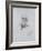 Portrait of Victor Hugo (1802-85)-Auguste Rodin-Framed Giclee Print