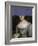 Portrait of Vintage Woman Collage-The Art Concept-Framed Photographic Print