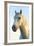 Portrait of White Horses Head, the Camargue, France-Peter Adams-Framed Photographic Print