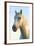 Portrait of White Horses Head, the Camargue, France-Peter Adams-Framed Photographic Print