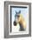 Portrait of White Horses Head, the Camargue, France-Peter Adams-Framed Photographic Print