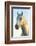 Portrait of White Horses Head, the Camargue, France-Peter Adams-Framed Photographic Print