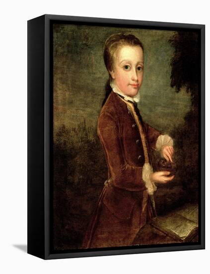 Portrait of Wolfgang Amadeus Mozart (1756-91) Aged Eight, Holding a Bird's Nest, 1764-65-Johann Zoffany-Framed Premier Image Canvas