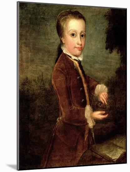 Portrait of Wolfgang Amadeus Mozart (1756-91) Aged Eight, Holding a Bird's Nest, 1764-65-Johann Zoffany-Mounted Giclee Print