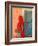 Portrait of Woman in Red Sari Against School Wall, Jodhpur, Rajasthan, India-Bill Bachmann-Framed Photographic Print