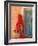 Portrait of Woman in Red Sari Against School Wall, Jodhpur, Rajasthan, India-Bill Bachmann-Framed Photographic Print