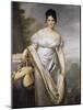 Portrait présumé de madame de Caraman-Chimay (ex Tallien)-Jacques-Louis David-Mounted Giclee Print