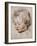 Portrait Study of His Son Nicolas, 1621-Peter Paul Rubens-Framed Giclee Print