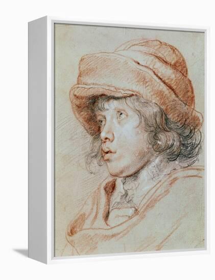 Portrait Study of His Son Nicolas, Chalk Drawing-Peter Paul Rubens-Framed Premier Image Canvas