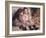 Portraits of Children, or the Children of Martial Caillebotte, 1895-Pierre-Auguste Renoir-Framed Giclee Print