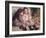 Portraits of Children, or the Children of Martial Caillebotte, 1895-Pierre-Auguste Renoir-Framed Giclee Print