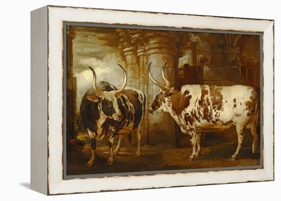 Portraits of Two Extraordinary Oxen, the Property of the Earl of Powis, 1814-James Ward-Framed Premier Image Canvas