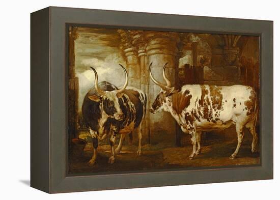 Portraits of Two Extraordinary Oxen, the Property of the Earl of Powis, 1814-James Ward-Framed Premier Image Canvas