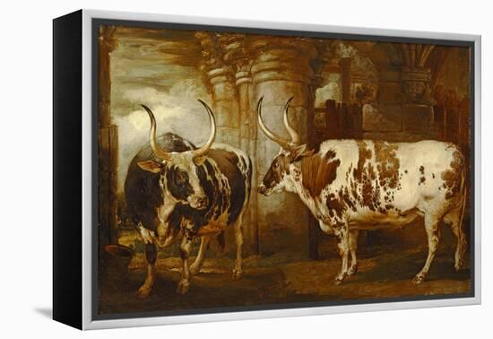 Portraits of Two Extraordinary Oxen, the Property of the Earl of Powis, 1814-James Ward-Framed Premier Image Canvas