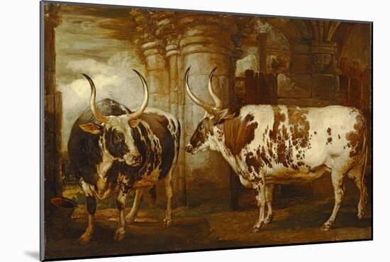 Portraits of Two Extraordinary Oxen, the Property of the Earl of Powis, 1814-James Ward-Mounted Giclee Print