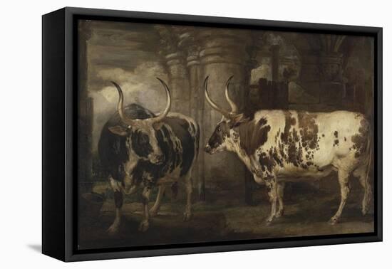 Portraits of Two Extraordinary Oxen, the Property of the Earl of Powis, 1814-James Ward-Framed Premier Image Canvas