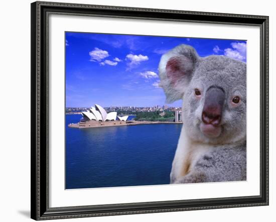 Portrayal of Opera House and Koala, Sydney, Australia-Bill Bachmann-Framed Photographic Print