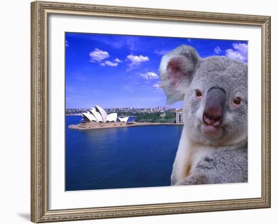 Portrayal of Opera House and Koala, Sydney, Australia-Bill Bachmann-Framed Photographic Print