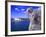 Portrayal of Opera House and Koala, Sydney, Australia-Bill Bachmann-Framed Photographic Print