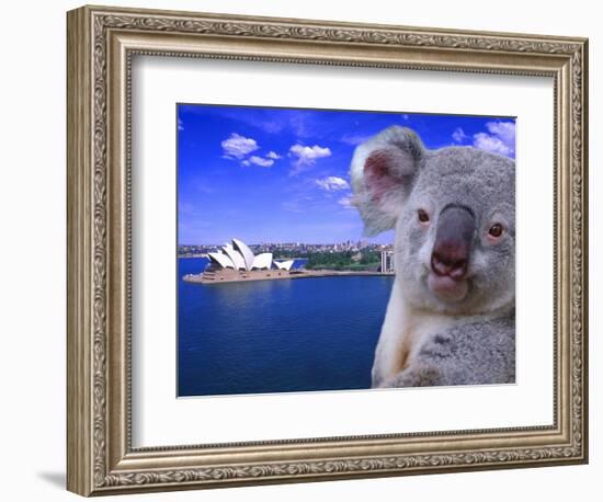 Portrayal of Opera House and Koala, Sydney, Australia-Bill Bachmann-Framed Photographic Print