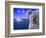 Portrayal of Opera House and Koala, Sydney, Australia-Bill Bachmann-Framed Photographic Print