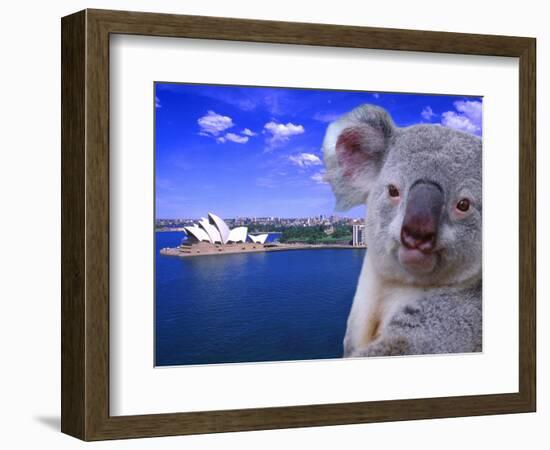 Portrayal of Opera House and Koala, Sydney, Australia-Bill Bachmann-Framed Photographic Print